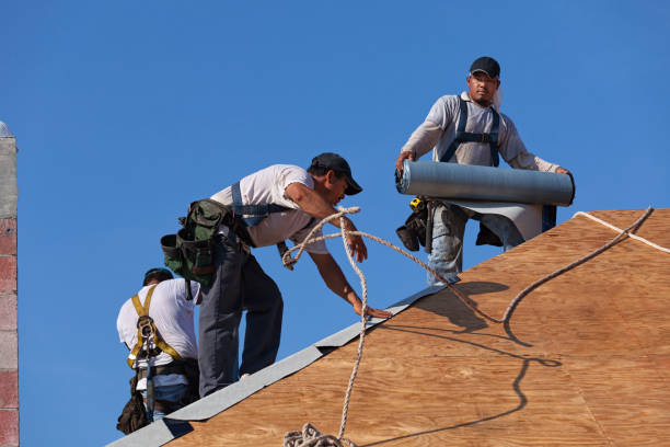 Best Roof Replacement Cost  in Bon Air, VA